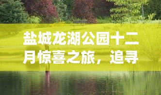 盐城龙湖公园十二月，追寻宁静，拥抱自然的魔法之旅