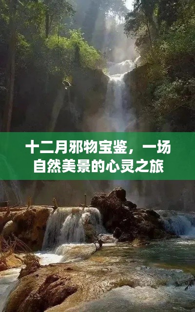 十二月邪物宝鉴，自然美景的心灵之旅