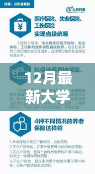 最新大学政策详解与操作指南，完成大学任务的必备攻略