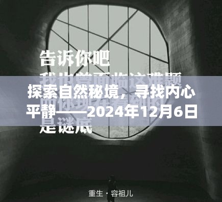 彬彬有礼 第3页