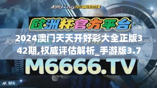 2024澳门天天开好彩大全正版342期,权威评估解析_手游版3.757