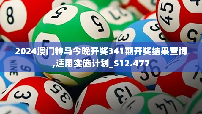 2024澳门特马今晚开奖341期开奖结果查询,适用实施计划_S12.477