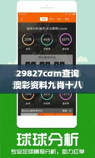 29827cσm查询澳彩资料九肖十八码,深度调查解析说明_AP110.317