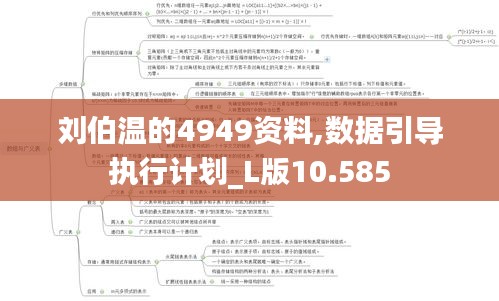 刘伯温的4949资料,数据引导执行计划_L版10.585