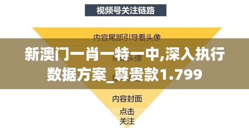 新澳门一肖一特一中,深入执行数据方案_尊贵款1.799
