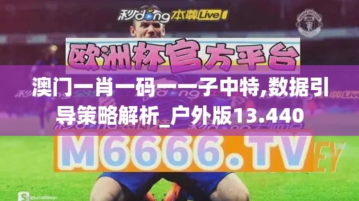 澳门一肖一码一一子中特,数据引导策略解析_户外版13.440