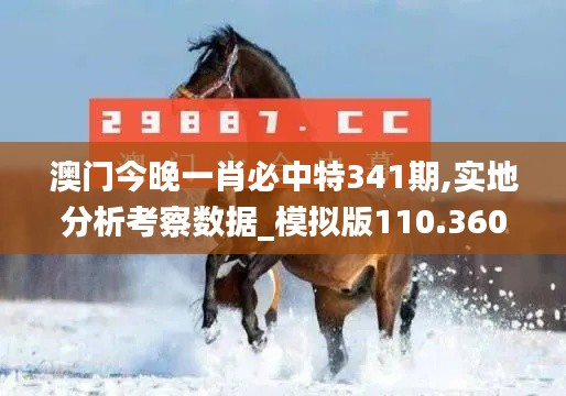 澳门今晚一肖必中特341期,实地分析考察数据_模拟版110.360