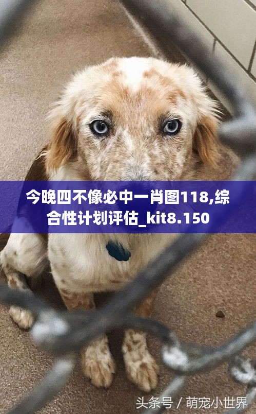 今晚四不像必中一肖图118,综合性计划评估_kit8.150