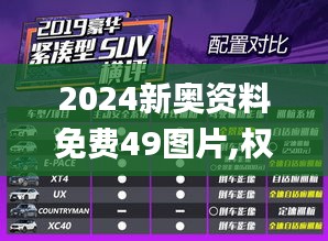 2024新奥资料免费49图片,权威方法推进_VIP3.102