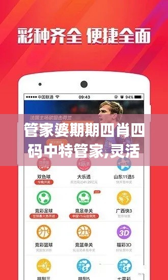 管家婆期期四肖四码中特管家,灵活实施计划_Device2.584