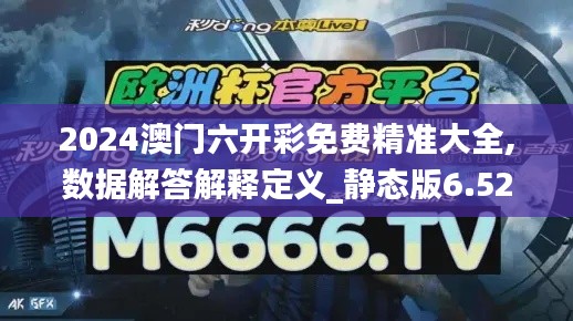 2024澳门六开彩免费精准大全,数据解答解释定义_静态版6.521