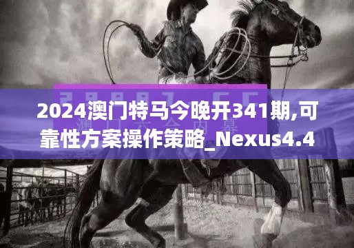 2024澳门特马今晚开341期,可靠性方案操作策略_Nexus4.445