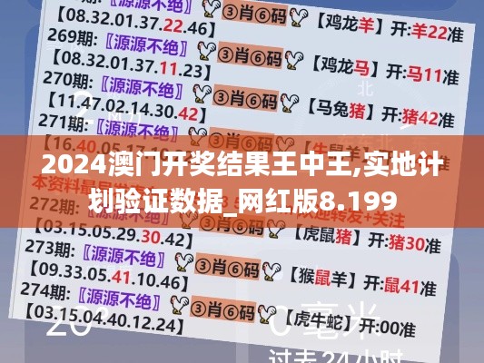 2024澳门开奖结果王中王,实地计划验证数据_网红版8.199