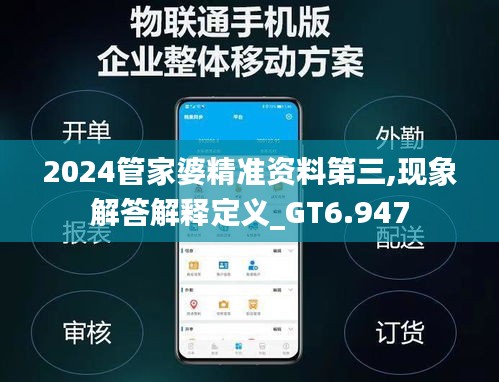 2024管家婆精准资料第三,现象解答解释定义_GT6.947