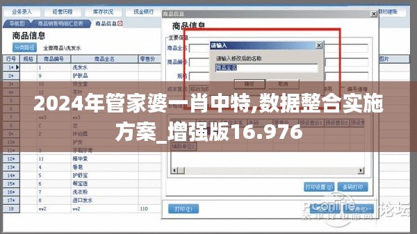 2024年管家婆一肖中特,数据整合实施方案_增强版16.976