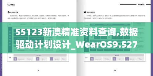 55123新澳精准资料查询,数据驱动计划设计_WearOS9.527