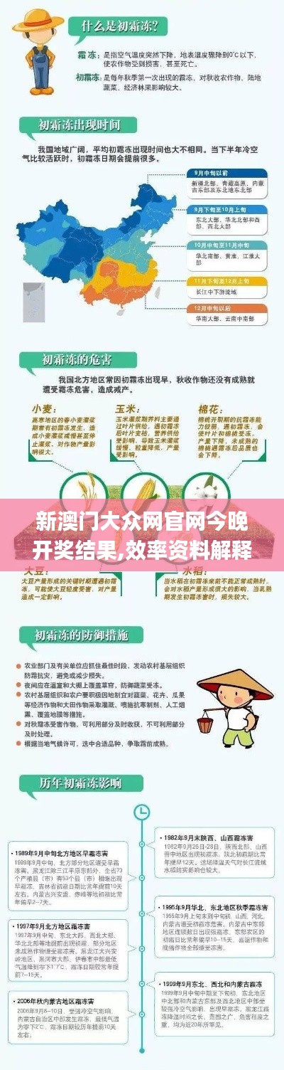 新澳门大众网官网今晚开奖结果,效率资料解释定义_AP6.619