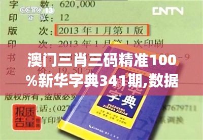 澳门三肖三码精准100%新华字典341期,数据实施导向策略_超值版12.425