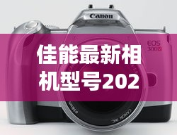 佳能最新相机型号发布指南，初学者与进阶用户购买使用指南（2024年12月6日发布）