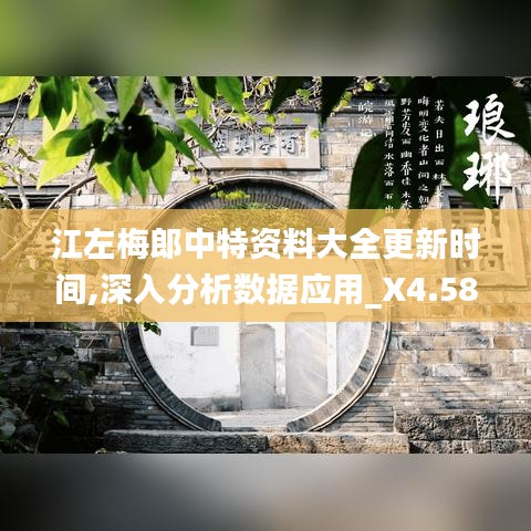 江左梅郎中特资料大全更新时间,深入分析数据应用_X4.587