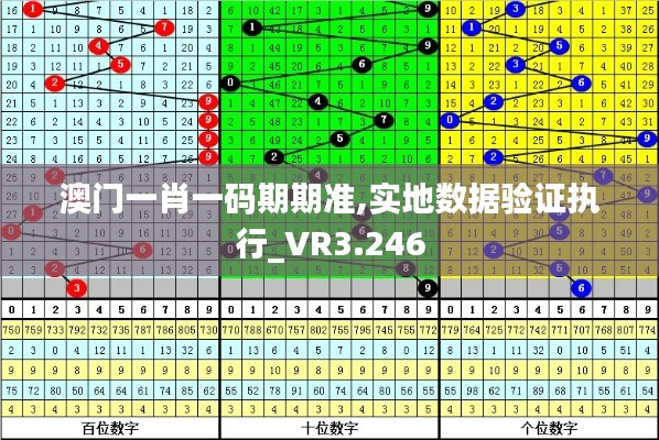 澳门一肖一码期期准,实地数据验证执行_VR3.246