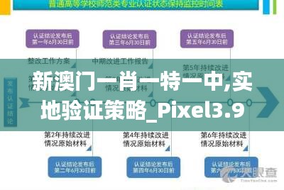 新澳门一肖一特一中,实地验证策略_Pixel3.927