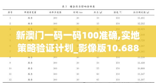 新澳门一码一码100准确,实地策略验证计划_影像版10.688