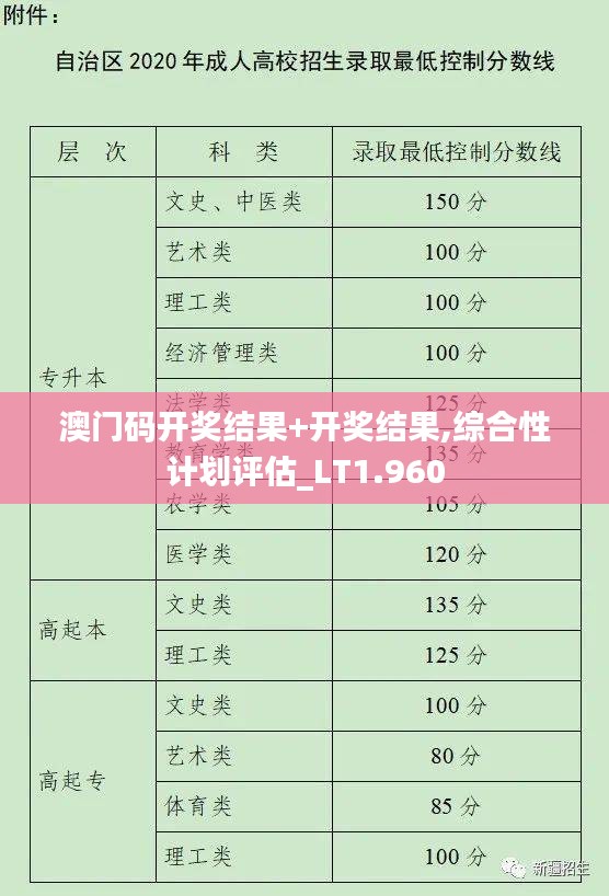 澳门码开奖结果+开奖结果,综合性计划评估_LT1.960
