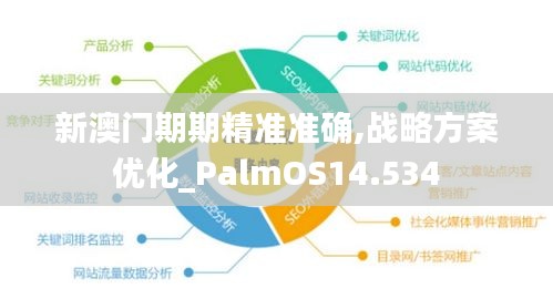 新澳门期期精准准确,战略方案优化_PalmOS14.534