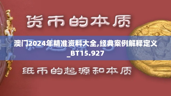 澳门2024年精准资料大全,经典案例解释定义_BT15.927