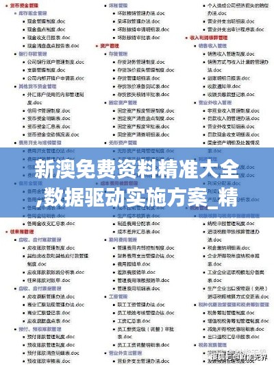 新澳免费资料精准大全,数据驱动实施方案_精英款4.699
