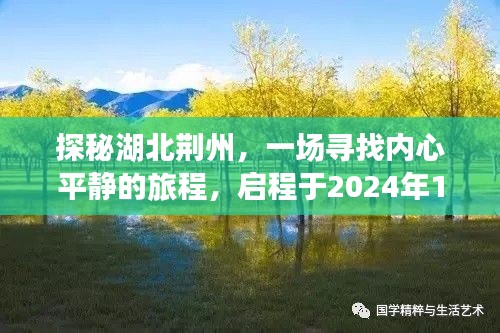 启程于冬日的探秘之旅，湖北荆州心灵平静之旅，探寻千年古城韵味