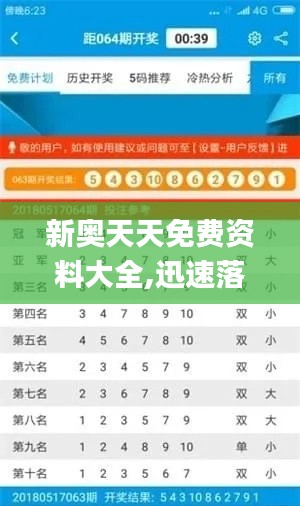 新奥天天免费资料大全,迅速落实计划解答_RX版1.487