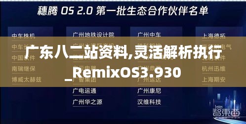 广东八二站资料,灵活解析执行_RemixOS3.930