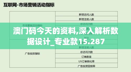 澳门码今天的资料,深入解析数据设计_专业款15.287