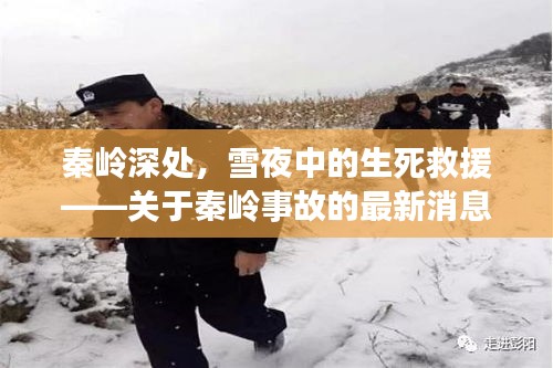 秦岭深处雪夜生死救援，最新事故深度报道