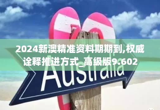 2024新澳精准资料期期到,权威诠释推进方式_高级版9.602