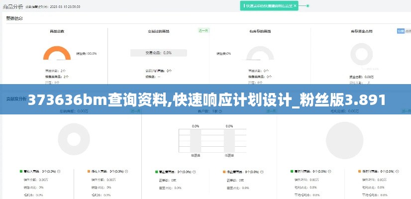 373636bm查询资料,快速响应计划设计_粉丝版3.891