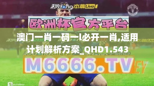 澳门一肖一码一l必开一肖,适用计划解析方案_QHD1.543
