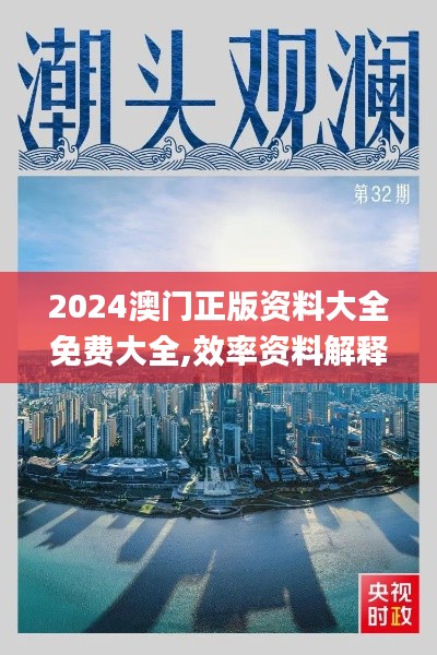 2024澳门正版资料大全免费大全,效率资料解释落实_投资版1.329
