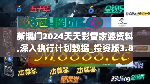 新澳门2024天天彩管家婆资料,深入执行计划数据_投资版3.899