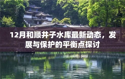 和顺井子水库最新动态，探讨发展与保护的平衡点（12月更新）