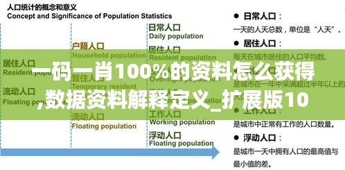一码一肖100%的资料怎么获得,数据资料解释定义_扩展版10.121