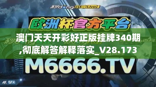 澳门天天开彩好正版挂牌340期,彻底解答解释落实_V28.173