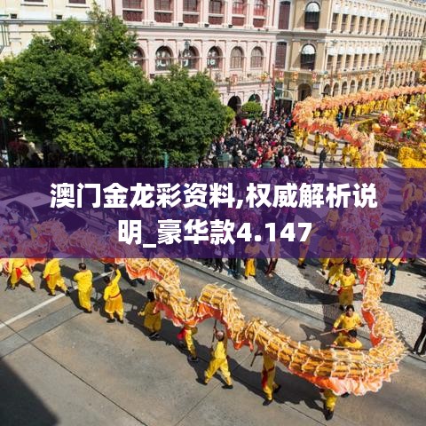 澳门金龙彩资料,权威解析说明_豪华款4.147