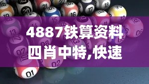 4887铁算资料四肖中特,快速解答方案解析_ChromeOS7.710
