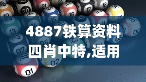 4887铁算资料四肖中特,适用性执行方案_zShop10.214