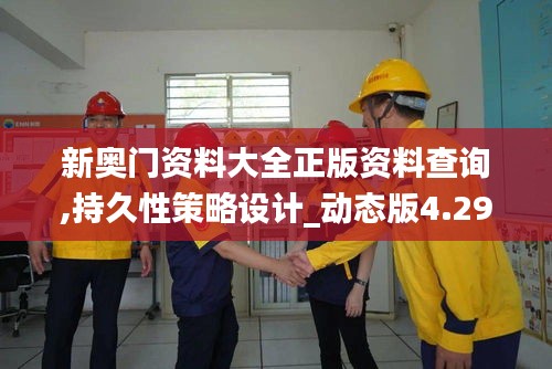 新奥门资料大全正版资料查询,持久性策略设计_动态版4.294