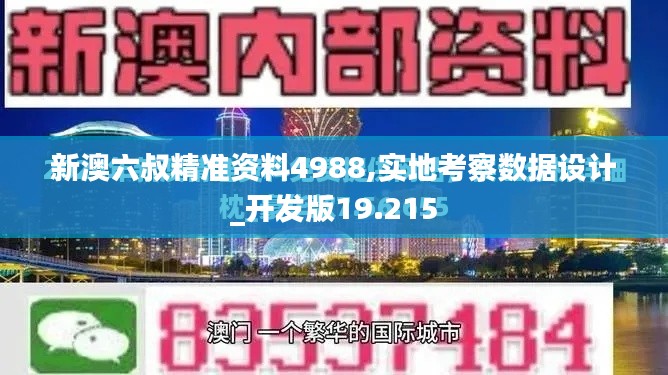 新澳六叔精准资料4988,实地考察数据设计_开发版19.215