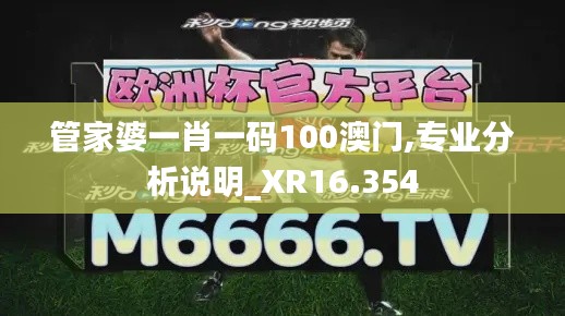 管家婆一肖一码100澳门,专业分析说明_XR16.354